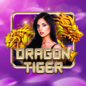 Dragon Tiger game cover art