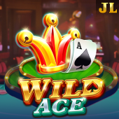 Wild Ace game cover art